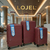 LOJEL Anti-Theft Suitcase Set